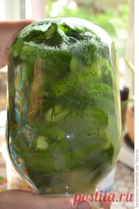 Хрустящие соленые огурцы на зиму. Пошаговый рецепт с фото