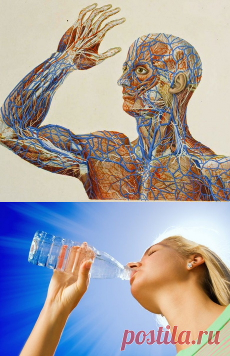 Древнейшее в мире средство оздоровления / Будьте здоровы