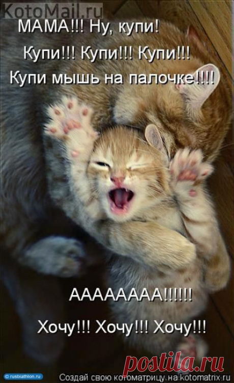 Летающий красавчик))) | KotoMail.ru