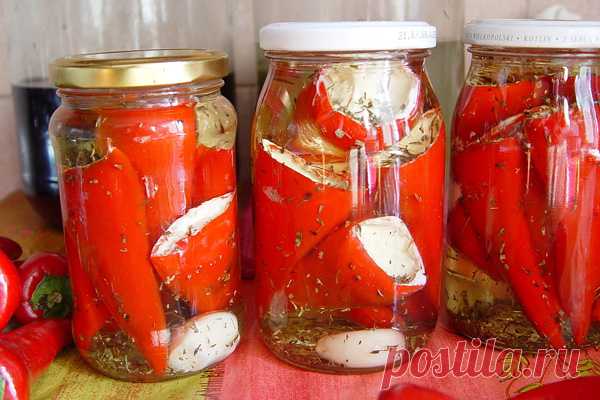 Острый перец с сыром на зиму