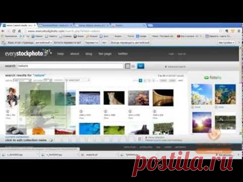 Сервис для поиска картинок Everystock