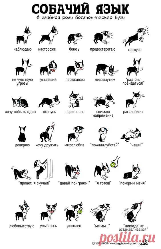 (291) Pinterest
