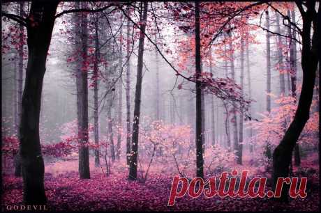 Dreamlands