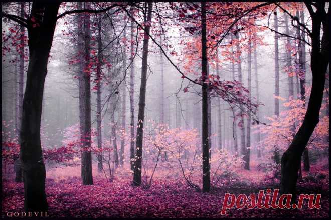 Dreamlands