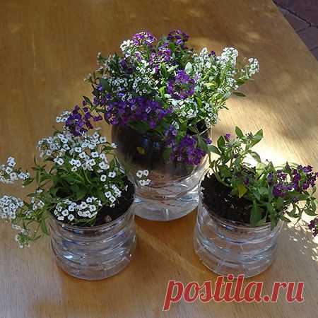 Автополив из бутылки