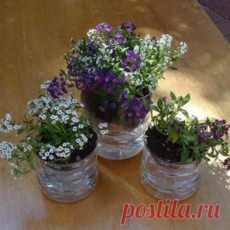 Автополив из бутылки