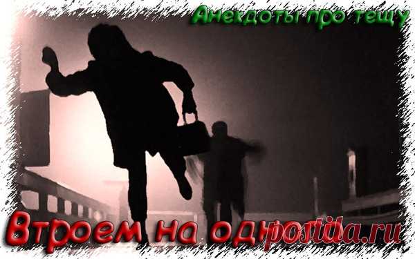 Втроем на одного - Анекдоты про тещу 2019