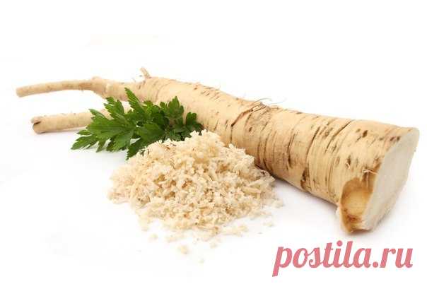 Настой из корней хрена против вредителей сада