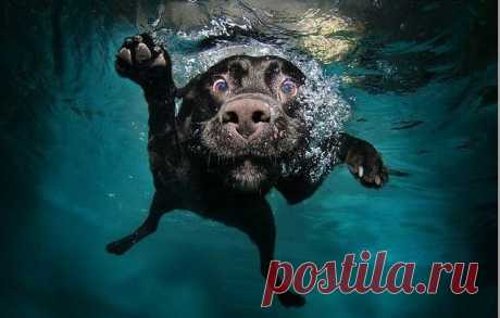 (74) Одноклассники