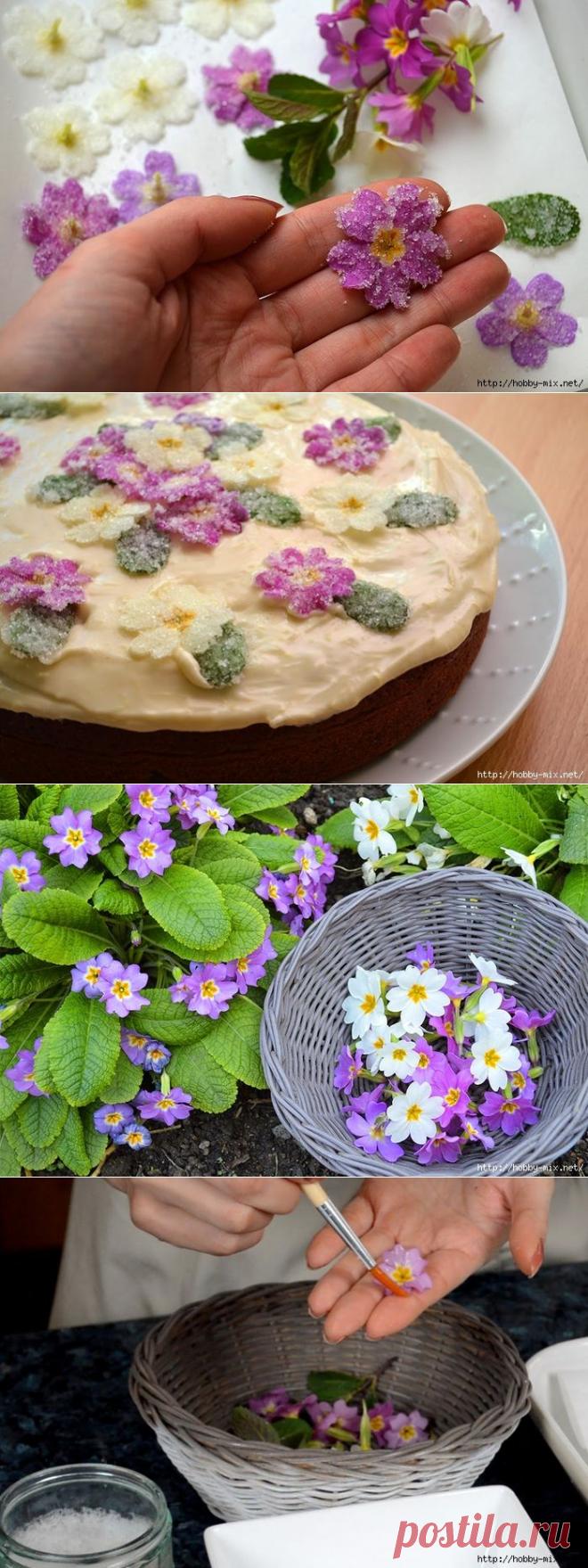 Съедобные цветы - кристаллизация первоцветов для тортов и десертов.