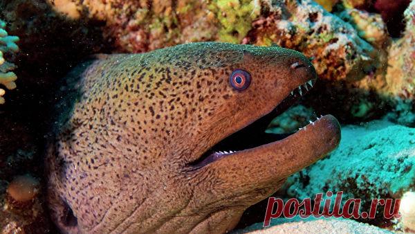 Группа туристов пострадала в Мексике от 