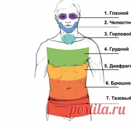 Методика Вильгельма Райха для избавления от мышечных зажимов