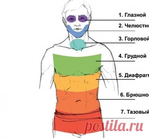Методика Вильгельма Райха для избавления от мышечных зажимов