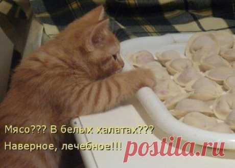 Одноклассники