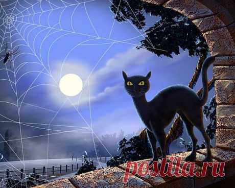 Мой Мир@Mail.Ru