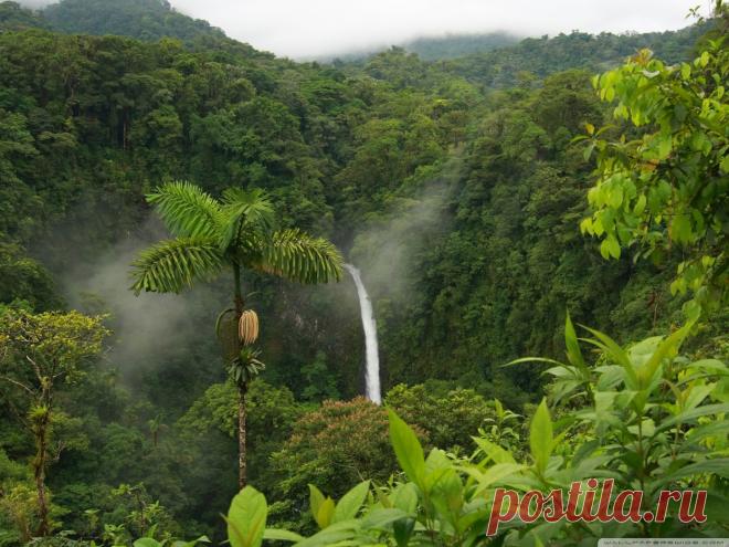 10 неожиданных тайн джунглей | Чёрт побери Джунгли и леса Земли вселяли ужас в человеческую расу на протяжении многих лет. Просто есть что-то тревожащее в незнании того, что может скрываться за следующим деревом. Это не удерживало нас от их исследования и поиска затерянных городов и сокровищ, которые, по слухам, в них хранились. В последние годы мир стал намного меньше, так как всё нанесено на карты, и от спутников ничего не скроется. Однако джунгли по-прежнему хранят свои...