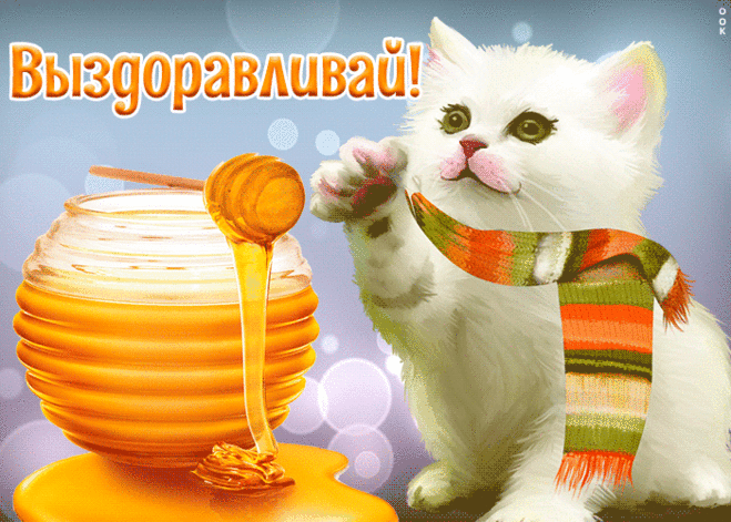 Картинка выздоравливай с котиком