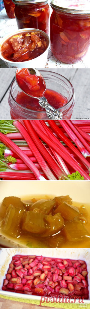 Вкусные заготовки и варенье из ревеня-15 рецептов
