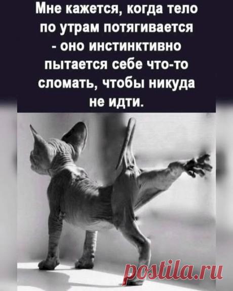 530cbb98.jpg (514×640)