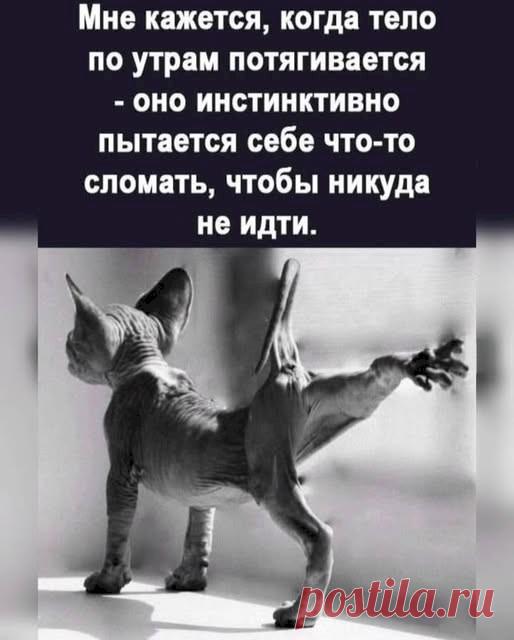 530cbb98.jpg (514×640)