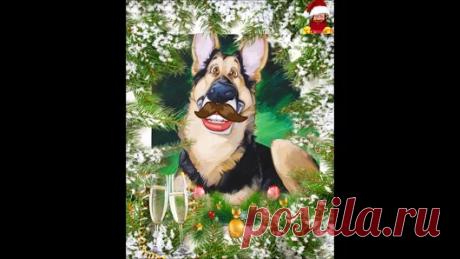 Галерея сайта "С Днюхой" - Google+