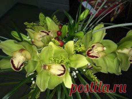 (84) Одноклассники