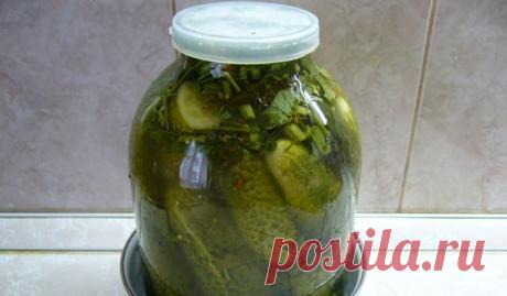 Засолка огурцов на зиму (в банках) - пошаговый кулинарный рецепт с фото на Повар.ру