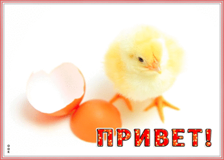 Привет! Целую и жду твой ответ!