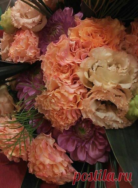 флористика