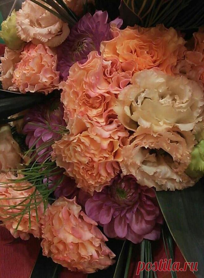 флористика