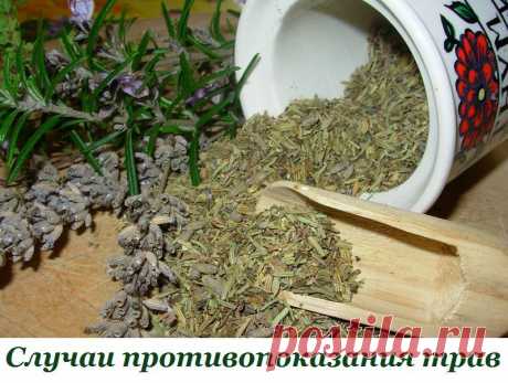 Интересные новости   ВАЖНО ЗНАТЬ! СЛУЧАИ ПРОТИВОПОКАЗАНИЯ ТРАВ!