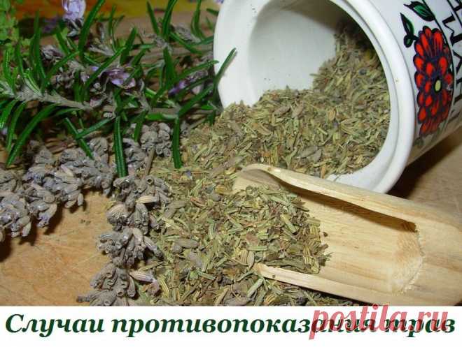 Интересные новости   ВАЖНО ЗНАТЬ! СЛУЧАИ ПРОТИВОПОКАЗАНИЯ ТРАВ!
