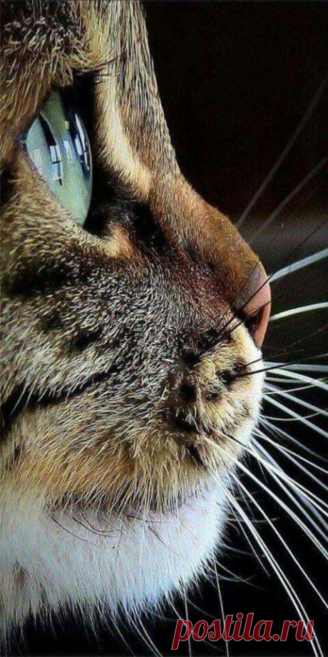 (199) Pinterest
