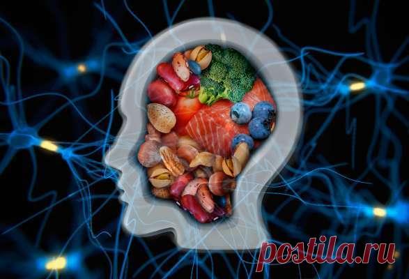 От капусты до шалфея: список продуктов, которые помогут улучшить память и работу мозга — Домашние заботы