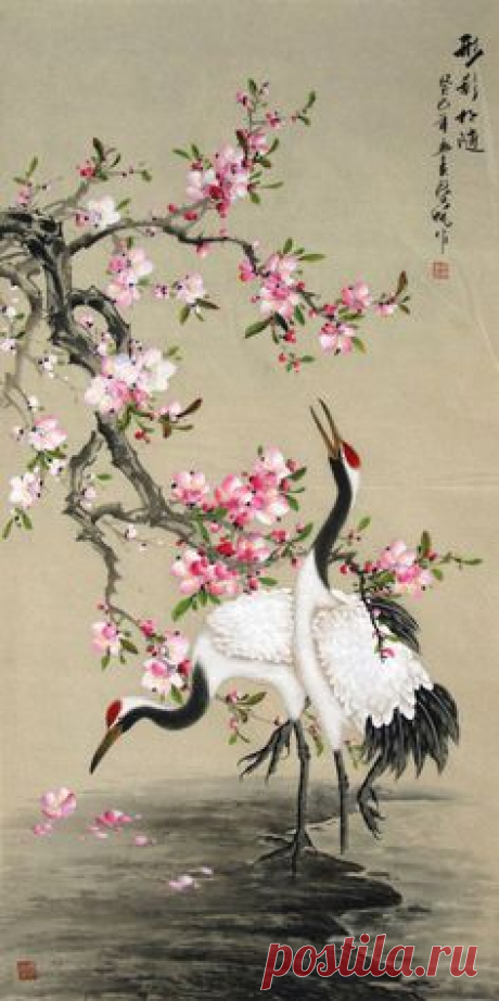 Yang Qi Fan - Chinese