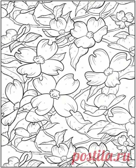 (24) Welcome to Dover Publications | Noelle
