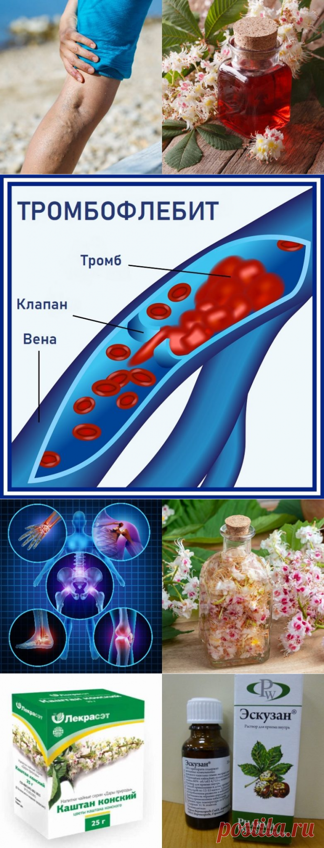 Лечебные свойства цветков каштана / Будьте здоровы