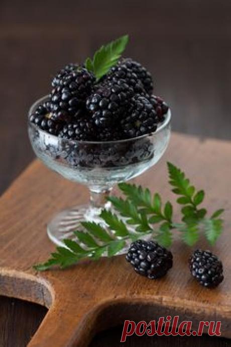 thelordismylightandmysalvation: “Blackberries ”