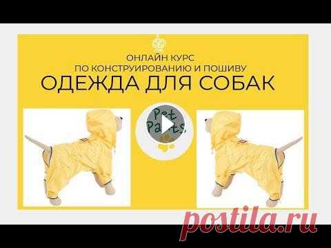 Онлайн курс пошива одежды для собак Мы сделали новую заставку и продумали варианты обучения! Теперь к базовому курсу из 8 лекций добавился вариант бизнес направления и индивидуальный! Вс...