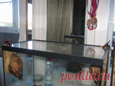 любопытство не порок