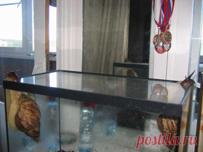 любопытство не порок