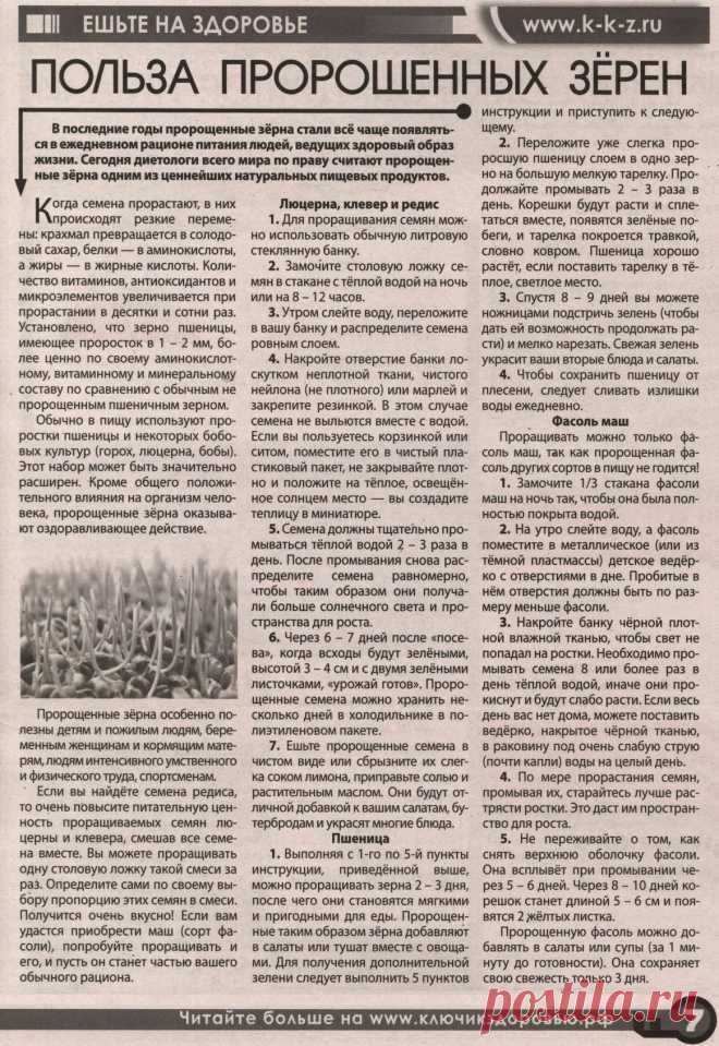 Польза пророщенных зерен