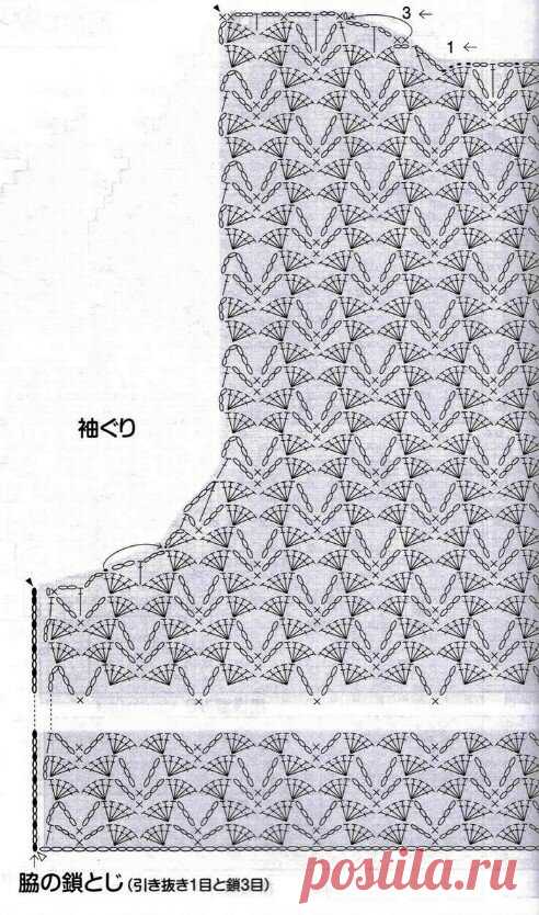 scale_1200 (492×834)