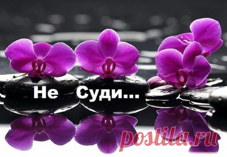 Осуждая человека оглянись, ведь чужая жизнь всегда потёмки. Прежде чем судить остановись, вспомни - а была ли твоя жизнь у кромки??? ...может было плохо и тебе, всякое случается в судьбе, может хлеба не хватало, голодал и зимой на холоде стоял???... и проблемы через край лились, хоть друзья все в верности клялись, или слёзы по ночам не лил, может жизнью ты святой прожил, бед не знал, и горя не хлебнул???...Не суди, чтоб бумеранг всё не вернул, жизнь прожить - не поле перейти, не суди людей ты...