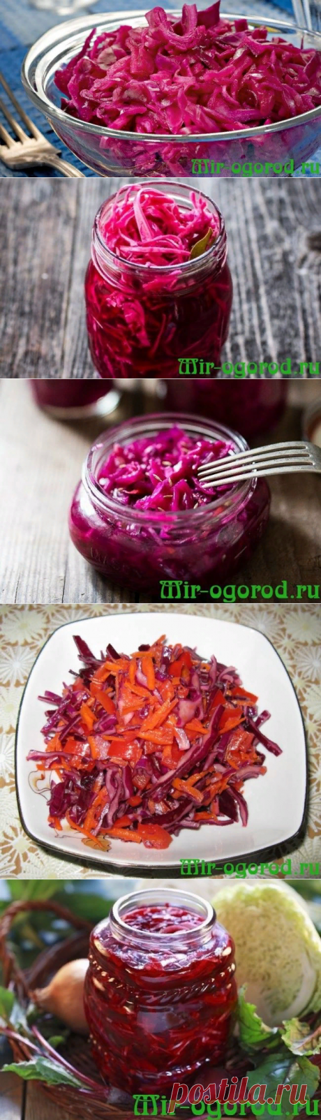 Краснокочанная капуста рецепты приготовления на зиму