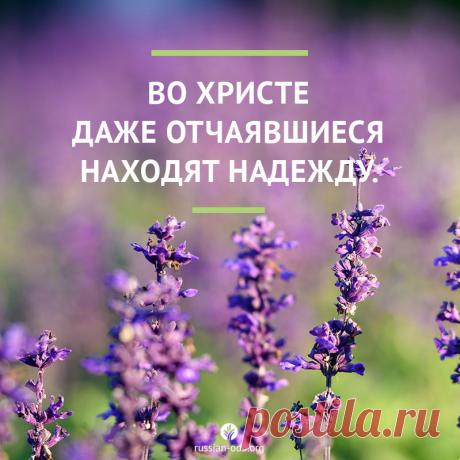 1 непрочитанный чат