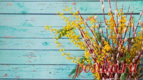 Вербное воскресенье: приметы, которые всегда сбываются: Nutmore