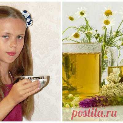 27 растений для чая
