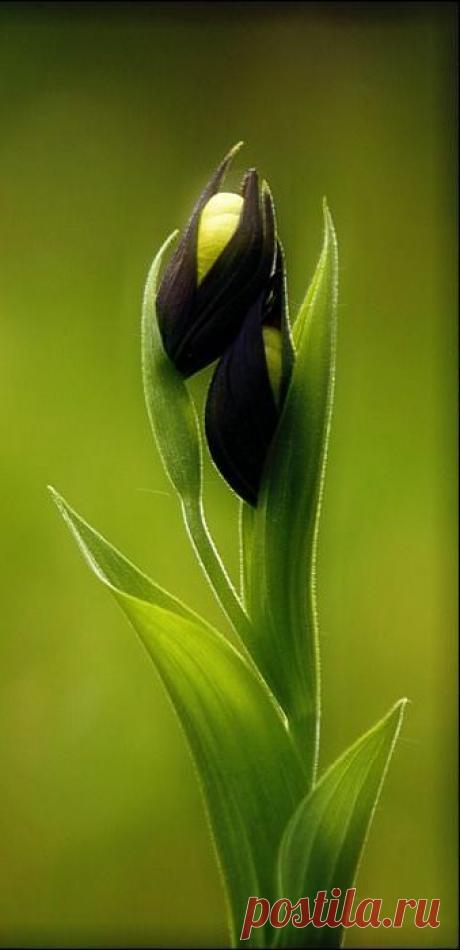 Найдено на сайте Uploaded by user.