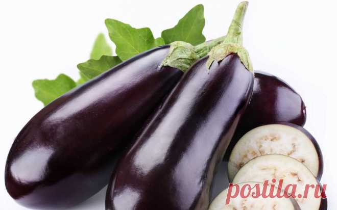 Баклажаны: выращивание и уход по правилам агротехники